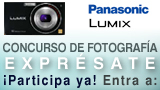 Novedades